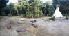 Cavelands In The Jungle