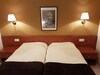 Hotel Guineu