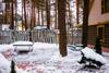 Agroturismo Usadba Yolochki Holiday