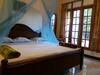 Hostal Hotel Mango Tree Nearest Adam's Peak