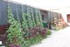 Hostal Na Dolzhanskoy Guest House