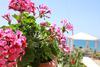 Apartamentos Aristotelis-nikos Paramonas Studios