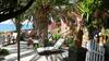 Apartamentos Aristotelis-nikos Paramonas Studios
