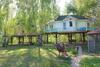 House On The Tree