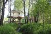House On The Tree