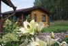 Hostal Holiday Home Tihotut