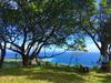 Bed & Breakfast Juhu Farmstay