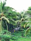 Kannur Beachway Homestay