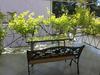 Hostal Guest House Kristiel