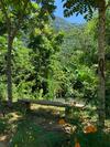 Ban Hieu Garden Lodge