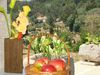 Agroturismo Quinta De Villasete