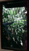 Hotel Tree Breeze Inn