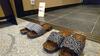 Yadoya Kyoto-shimogamo