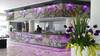 Hotel Senses Centro