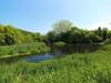 Bed & Breakfast Noyadd Trefawr