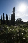 Apartamento La Beccanina Country Resort