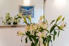 Apartments Subrenum