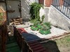 Apartamentos Camino Viejo