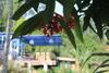 Hostal Hi Lanka Backpackers - Adults Only