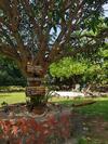 Wonderfarm Villa