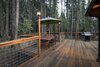 Finster's Treehouse