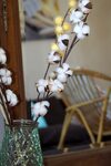 Apartamento Champollion