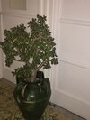 Bed & Breakfast Mery Sorrento