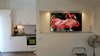 Pax Apartments