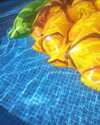 Bed & Breakfast Catarina