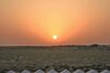 Kanj Shekhana Desert Safari Camp