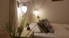 Hotel Orlando City Centre