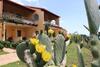 Hotel Relais Capo Spulico - Beach & Spa