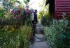 Hotel Bougainvillea Bungalow
