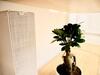 Apartamento Skylounge City-apartments