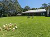 Jaspers Brush - Tranquil Gardens & Stunning Views