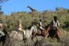 Lodge Botlierskop Private Game Reserve