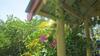 Magnautical Cottage 29 Mccabe Crescent Arcadia