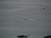 Gibralter Rock Ocean View B&B