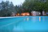 Marvelous Istrian Villa Morus