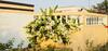Villa Royal Meadows - Igatpuri Bungalow B