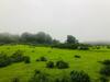 Villa Royal Meadows - Igatpuri Bungalow A