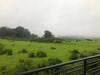 Villa Royal Meadows - Igatpuri Bungalow A