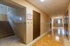 Albergue ?????? Nika