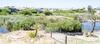 Apartamento Red Bishop - Birds, Beach & Beauty