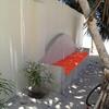 Zanzibar Magic Boutique Hotel