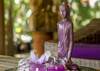 Hotel Bamboo Bonaire Boutique Resort
