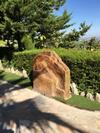 Agroturismo Caba�as de Madera Y Bungalows - Gilma�as 3