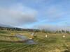 Entire Private Apartment In Pirin Golf & Country Club