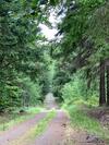 Villa ??astn� Kopec Vila ?. 56