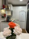 Apartamento Don Quijote